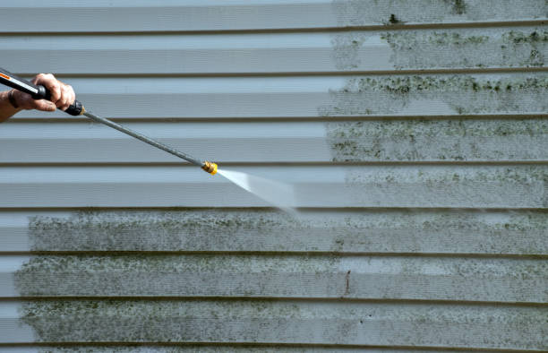 Best Roof Pressure Washing  in Glencoe, FL